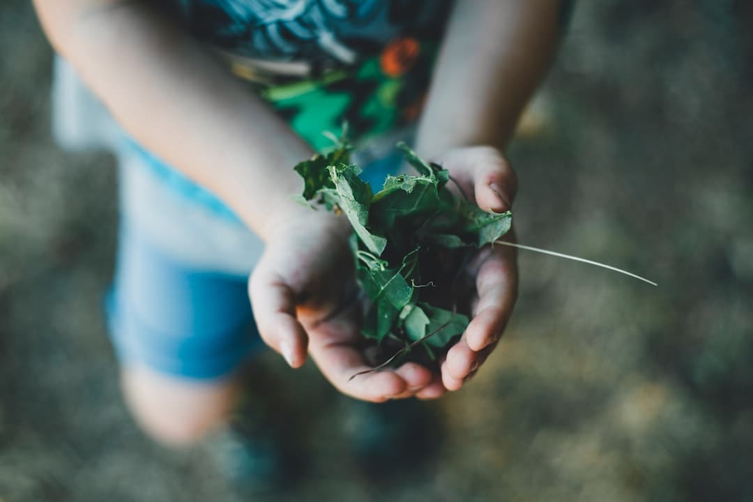 Garden & outdoor play